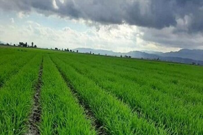 پیشرفت فیزیکی ناحیه عمرانی دوم خداآفرین به ۷۰ درصد رسید