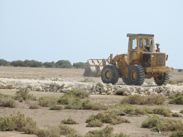 تلاش دولت برای حفظ جنگلهای حراء/ مجوزی برای احداث جاده صادر نشده است