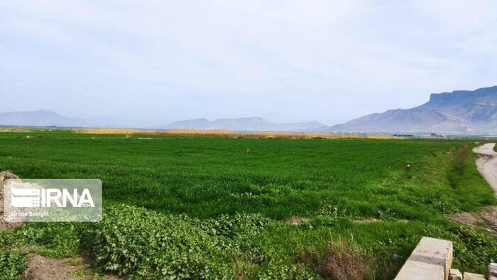 آخرین وضعیت بازسازی سرپلذهاب؛ مشکلات مردم و زیرساختهای نیمهتمام