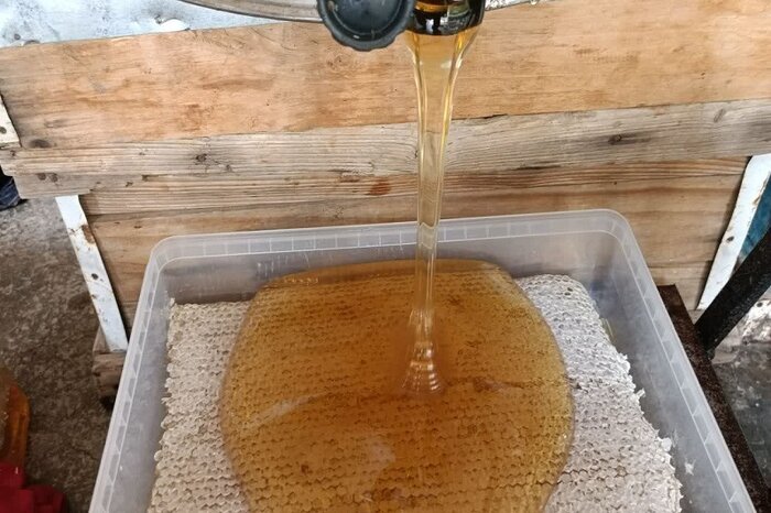 خانواده کارآفرین کرمانشاهی؛ تولیدکنندگانی که ۱۰ کندو زنبور عسل را ۲۰۰ برابر کردند