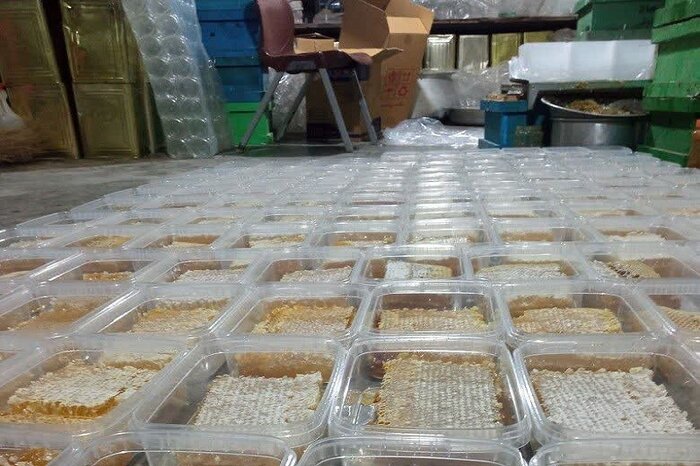 خانواده کارآفرین کرمانشاهی؛ تولیدکنندگانی که ۱۰ کندو زنبور عسل را ۲۰۰ برابر کردند
