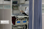Iran’s new daily Covid deaths at 2