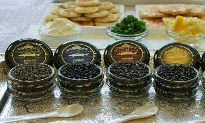 تورگستری سبزوار برای صید مروارید سیاه از دل کویر