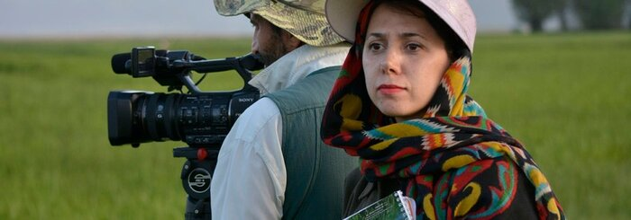 مستندسازان ما دیدگاه قوی در ساخت اثر ندارند/ موضوع حیف میشود