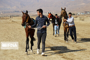 Iran : Cours d'équitation à Bodjnourd