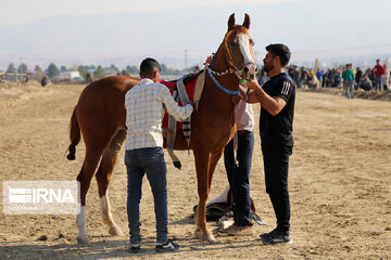 Iran : Cours d'équitation à Bodjnourd