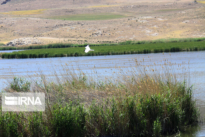 تالاب بیشه دالان و قابلیت توسعه اکوتوریسم در بروجرد