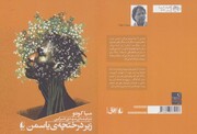انتشار دومین کتاب از نویسنده شهیر آفریقایی در ایران