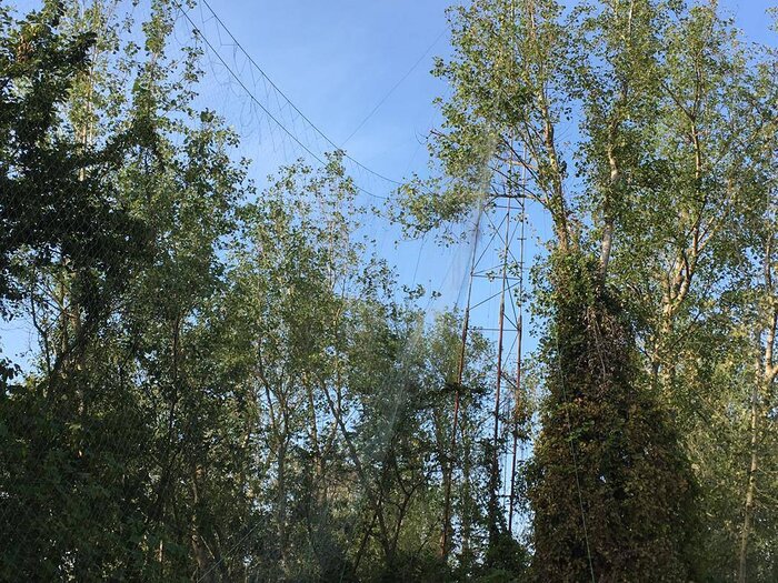 کشتار ۱.۵ میلیون پرنده در فریدونکنار/ تلاش دولت برای کاهش تلفات