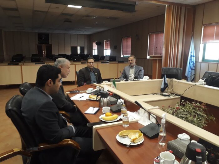 کشت زیتون مقاوم به سرما و کمآبی در مینودشت گلستان