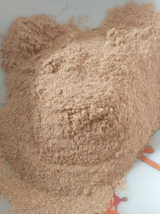 دانشبنیانها بذر پادشاه گیاهان دارویی را بومیسازی کردند/هدفگذاری برای صادرات به روسیه و عراق