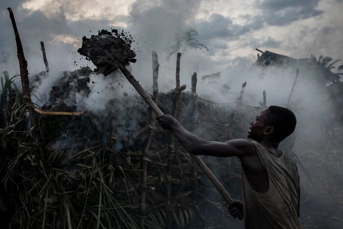 توافق برزیل، اندونزی و کنگو برای حفاظت از محیط زیست