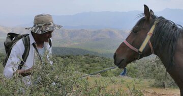 «کوهستان بی‌صدا» قصۀ مرد، سکوت و طبیعت