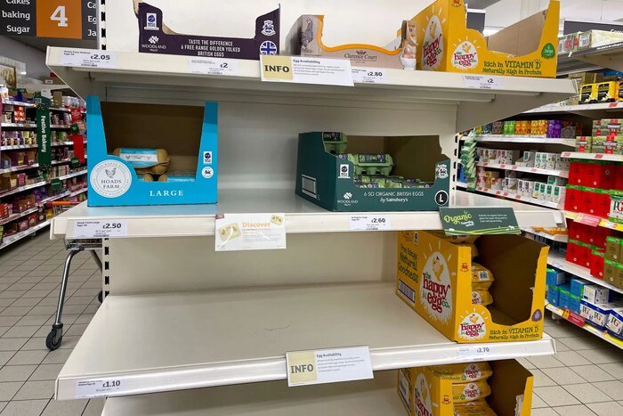 تخممرغ در انگلیس کمیاب شد