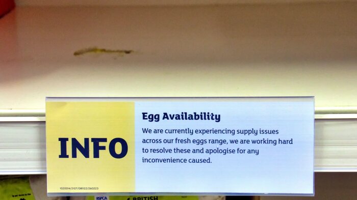 تخممرغ در انگلیس کمیاب شد