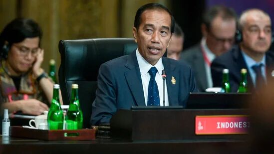 اجلاس گروه ۲۰؛ اندونزی خواستار جلوگیری از تکرار «جنگ سرد» در جهان شد