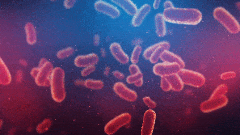 شناسایی یک آنتی‌بیوتیک جدید برای مبارزه با باکتری‌های خطرناک و مقاوم