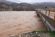 ۲۰ روستای استان بوشهر در مقابل سیلاب ایمن سازی شده است