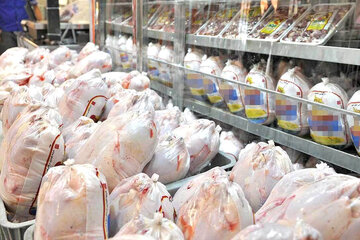 همدان کمبود تولید و عرضه گوشت مرغ ندارد