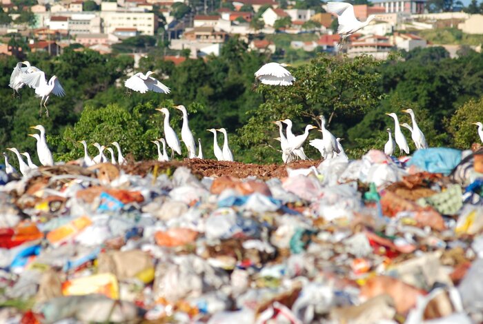 زنگ خطر زباله های پلاستیکی غرب برای آمریکای لاتین 