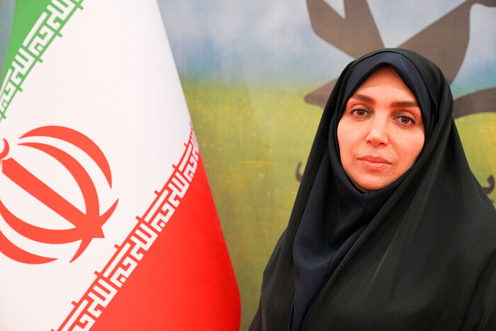 فراخوانی برای دعوت از طراحان اسباببازیهای کتابمحور