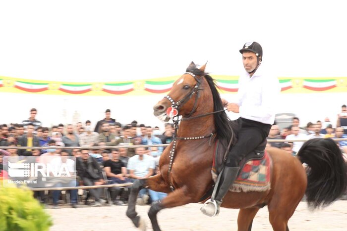 رقابتهای زیبایی اسب ایران در اشکذر یزد آغاز شد