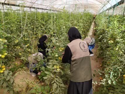 رزمایش جهادگران فاطمی در استان یزد آغاز شد