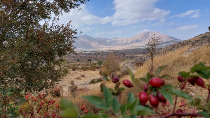 خاک کردن باغ؛ بازی باغداران ملایری با زمستان+فیلم