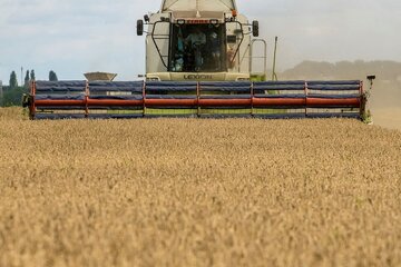 La FAO révise à la hausse les estimations de la production céréalière de l'Iran en 2022