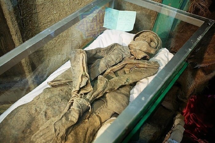 بازگشتی با دستان بسته اما سرافرازانه از «امالرصاص»