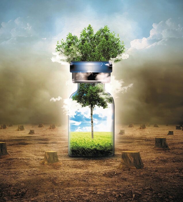 شوخی شوخی جدی میشود