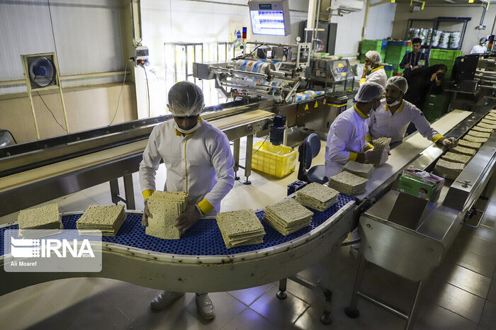 اقتصاد تعاونمحور ۱۴ هزار و ۹۱۱ فرصت شغلی در استان سمنان ایجاد کرد