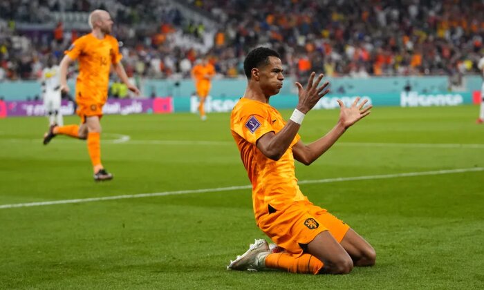 در روز دوم جامجهانی چه گذشت؟/ کابوس یوزها در شب رویش لالههای نارنجی!