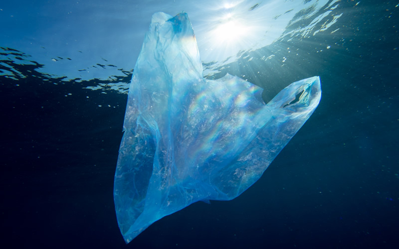 تک‌سلولی‌های اقیانوس‌ها ذرات ریز پلاستیکی را می‌خورند