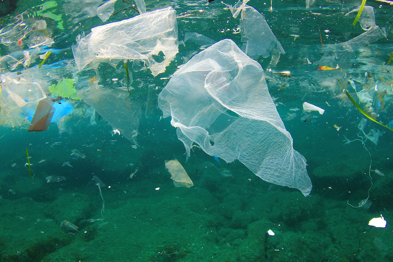 تک‌سلولی‌های اقیانوس‌ها ذرات ریز پلاستیکی را می‌خورند