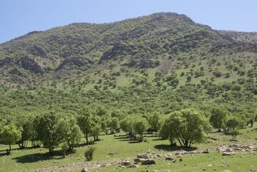 تعهدات احیای منابع طبیعی استان سمنان در واگذاری معادن مدنظر باشد