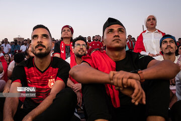 Coupe du monde – Aux côtés des supporters