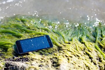 تماشای اعماق اقیانوس با تلفن همراه