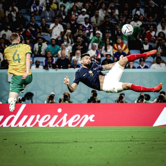 روز سوم به روایت تصویر؛ شکار بزرگ شاهین در روز طوفان خروسها