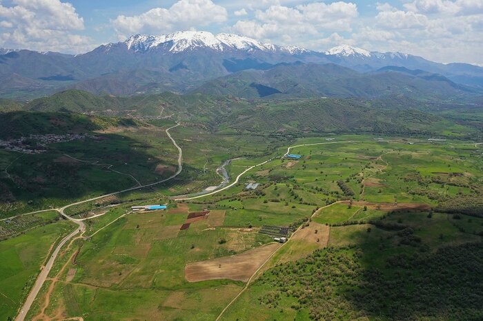جوانی که با پشتکار به جمع دانشمندان یک درصد برتر دنیا راه یافت