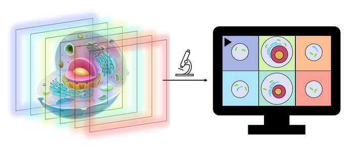 ساخت میکروسکوپ جدید با توان گرفتن عکس سه بُعدی از سلولها