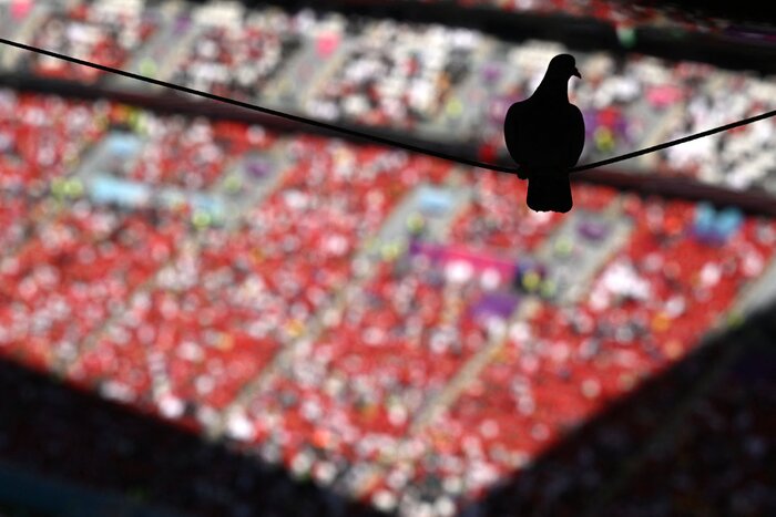 سندروم تساوی بدون گل در جام بیست و دوم؛ نایبقهرمان جهان متوقف شد