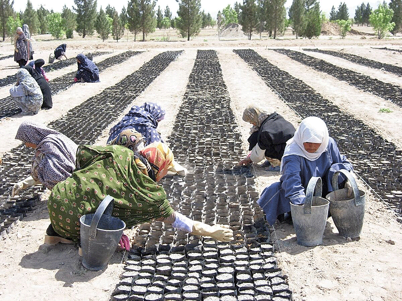 طرح "ترسیب کربن" در ۴۷ روستای خراسان شمالی در دست اجرا است