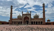  ورود زنان بدون همراهی مرد به مسجد جامع دهلی نو ممنوع شد