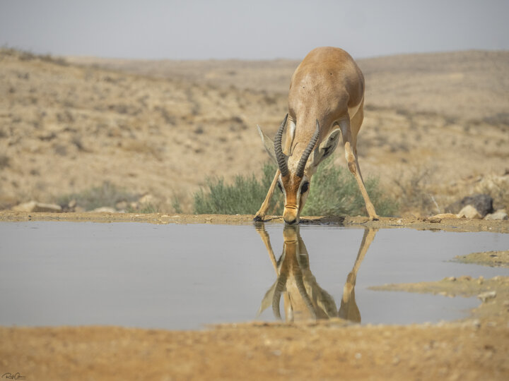 جبر طبیعت و کاهش جَبیر در نهبندان