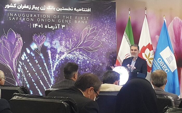 ایران و اسپانیا در حوزه ژنتیک زیتون همکاری علمی دارند