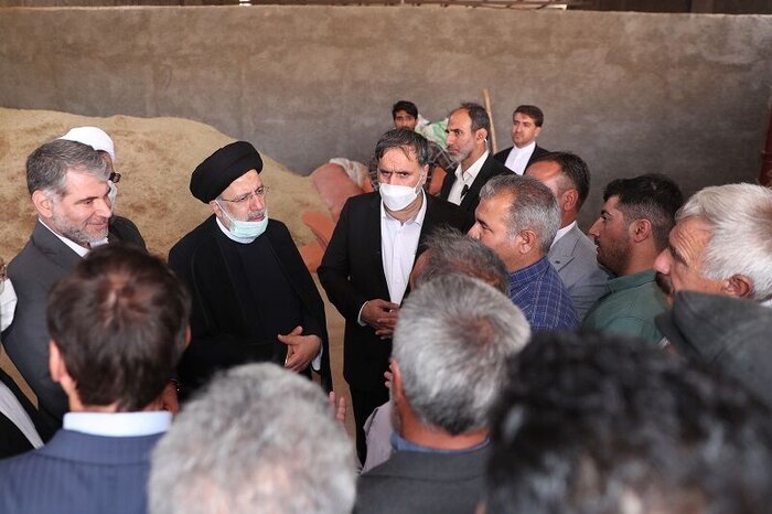 تحقق وعده دولت با خرید ۱۵۰ میلیارد تومان دام مازاد روستاییان خراسانشمالی