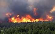 هشدار مدیریت بحران: آتش‌ در کمین جنگل‌های مازندران