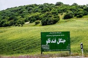تاکید دادستان اردبیل بر صیانت از جنگل فندقلوی نمین