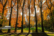 Colorful autumn and its beauties in Tehran